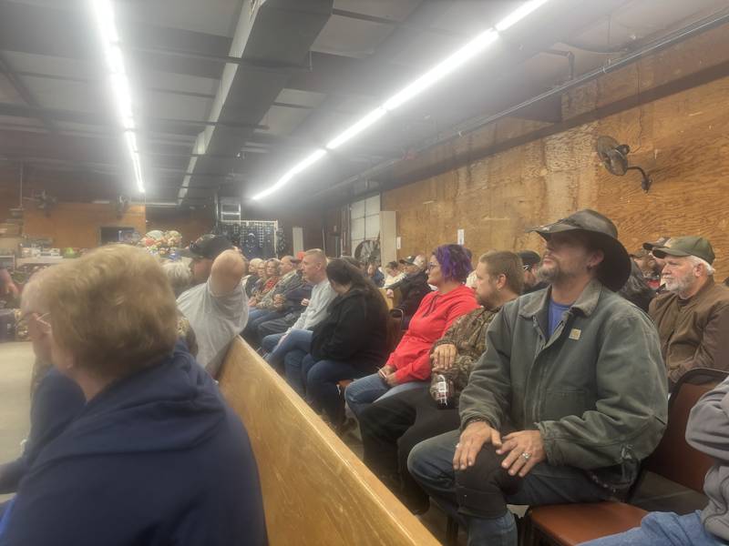 Auction Activity Auction Activity